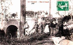 3076- Le Telagh - Dans le Bosquet - 1909